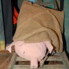 Bild 073